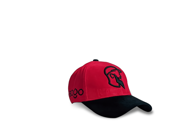 BOGO SIGNATURE CAP - Image 3