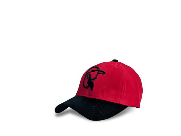 BOGO SIGNATURE CAP - Image 4