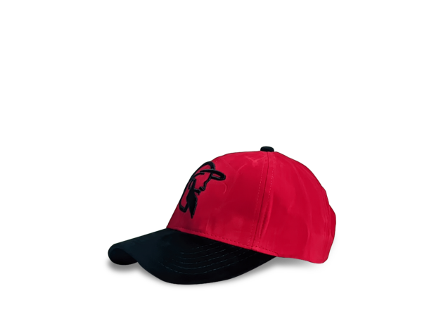 BOGO SIGNATURE CAP - Image 5